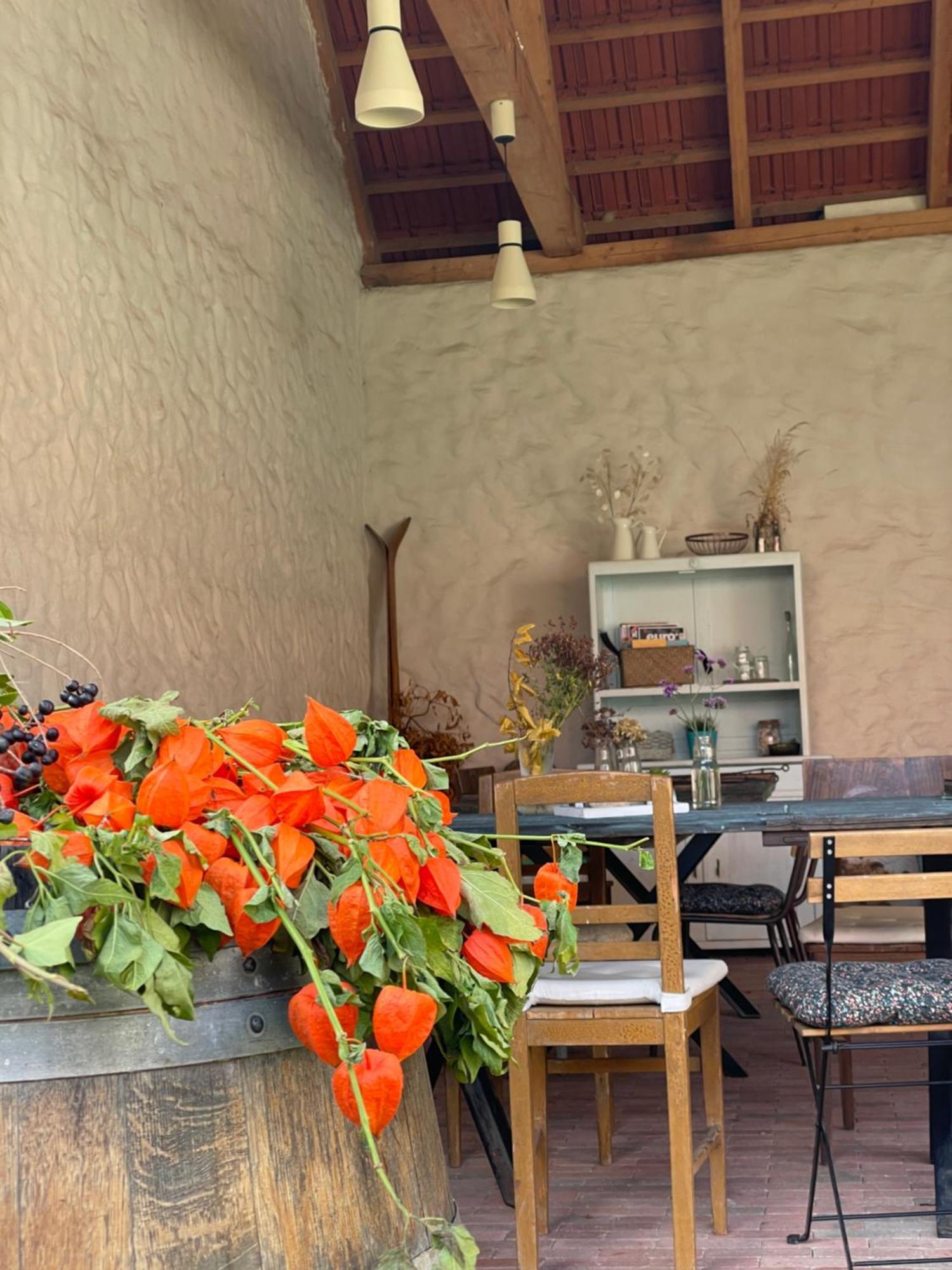 Penzion U Kaplicky Znojmo Luaran gambar